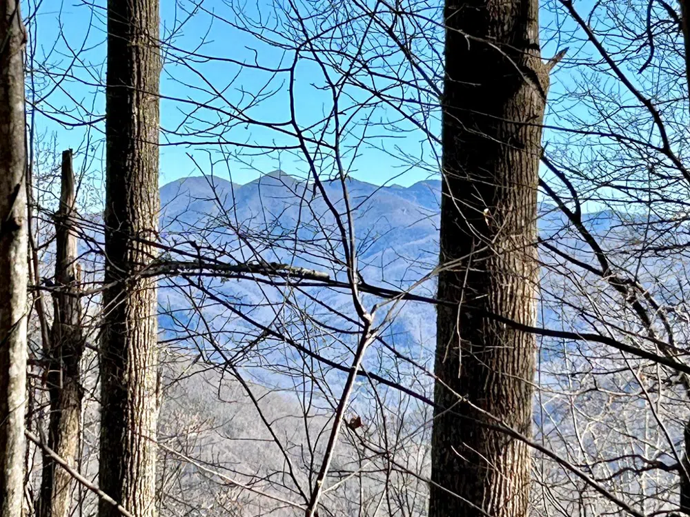Maltese Way Whittier, NC 28789