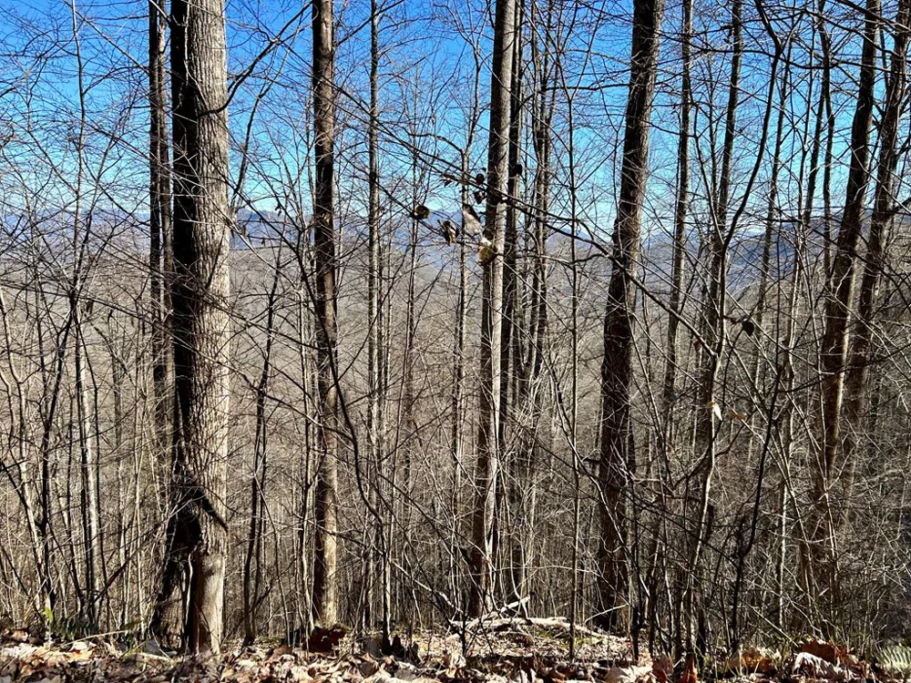 Maltese Way Whittier, NC 28789