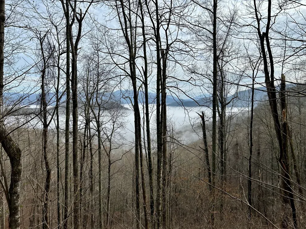 Maltese Way Whittier, NC 28789