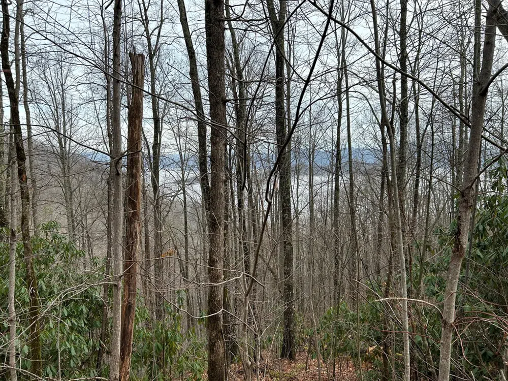 Maltese Way Whittier, NC 28789