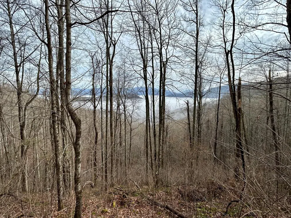 Maltese Way Whittier, NC 28789