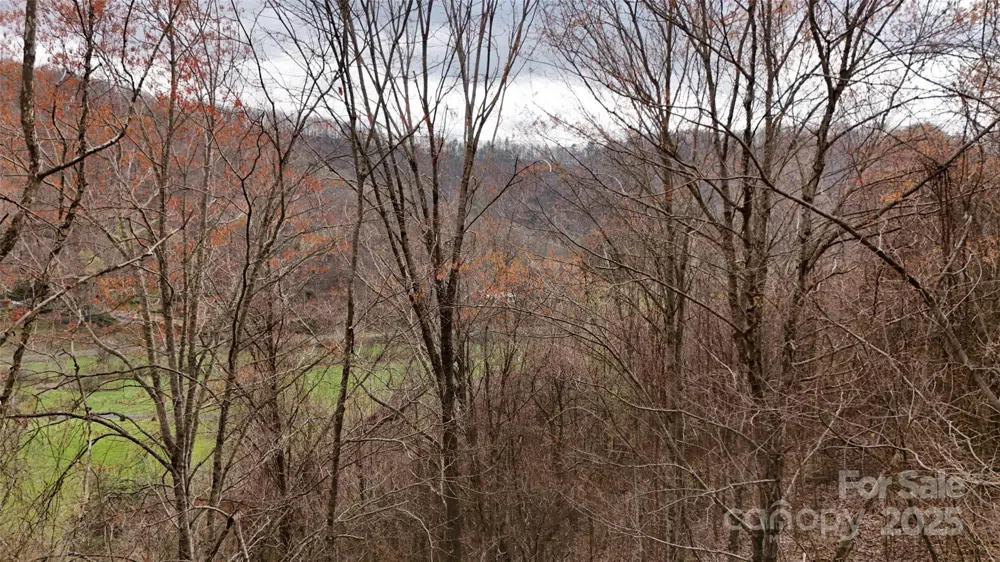380 Serenity Mountain Lane Mars Hill, NC 28754