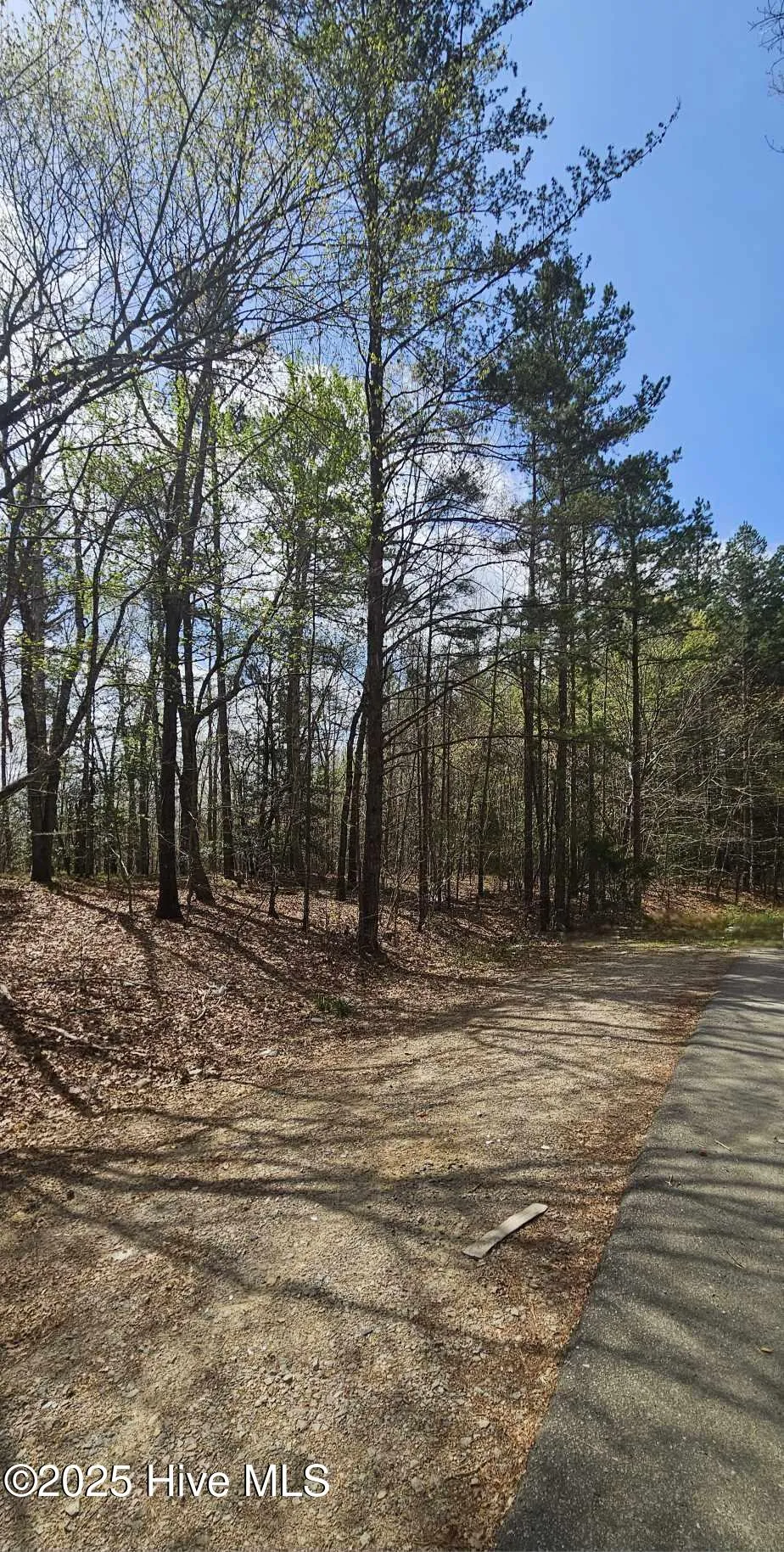 Lot 4 Leaman Road Robbins, NC 27325