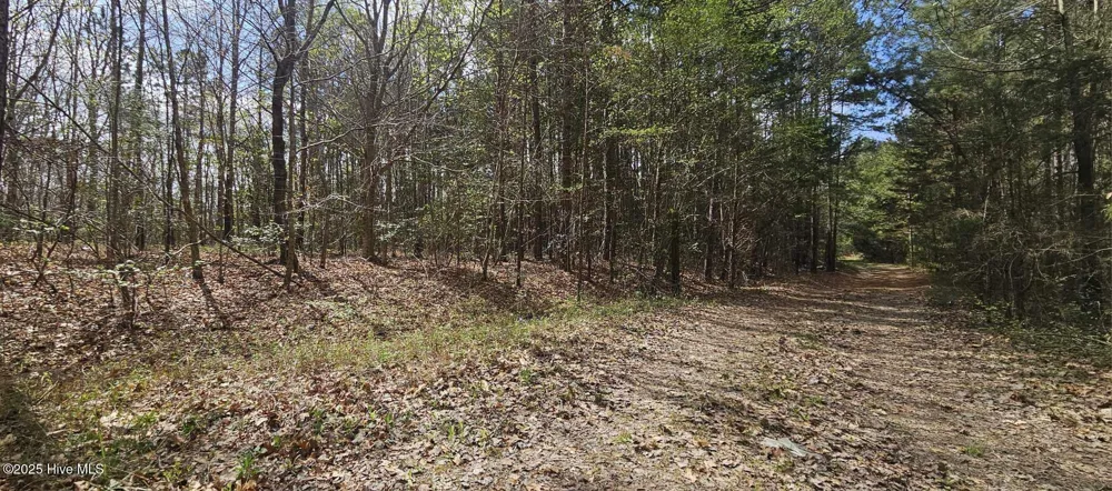 Lot 4 Leaman Road Robbins, NC 27325