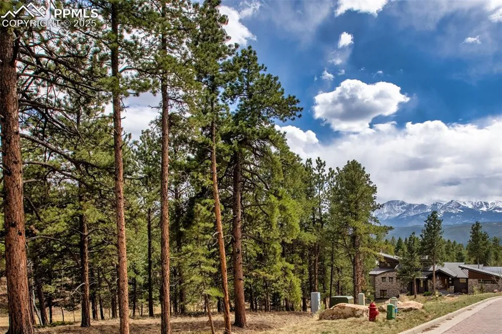 271 Thunder Ridge Drive Woodland Park, CO 80863