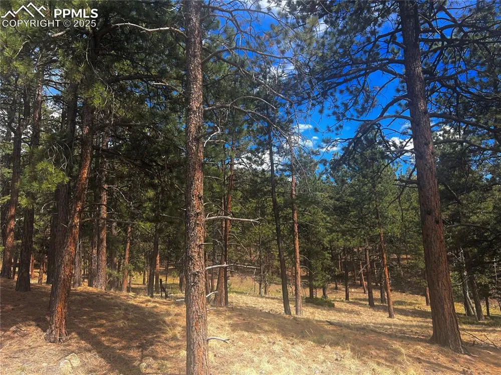 271 Thunder Ridge Drive Woodland Park, CO 80863
