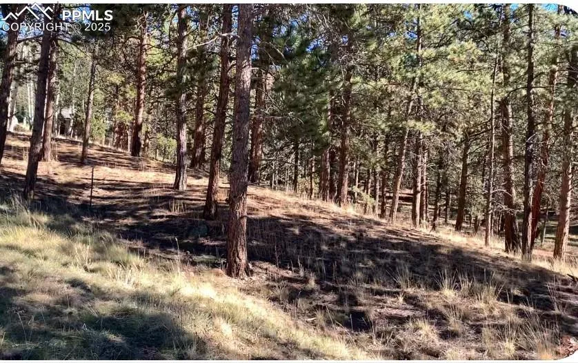 271 Thunder Ridge Drive Woodland Park, CO 80863