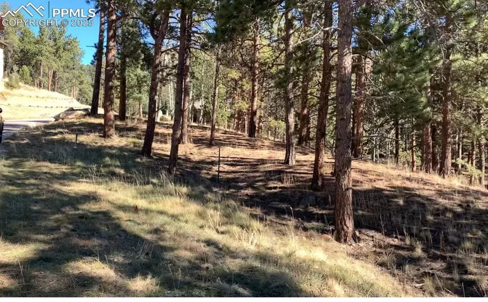 271 Thunder Ridge Drive Woodland Park, CO 80863