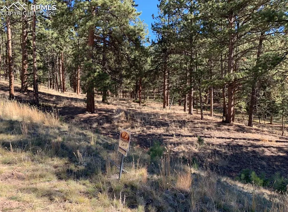 271 Thunder Ridge Drive Woodland Park, CO 80863