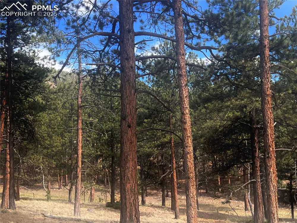 271 Thunder Ridge Drive Woodland Park, CO 80863