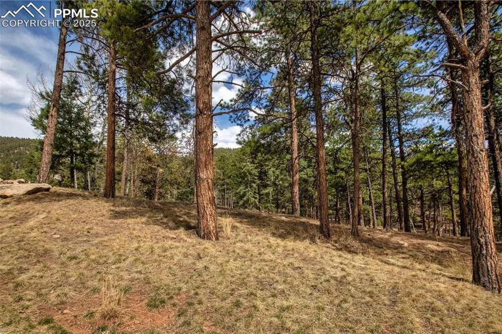 271 Thunder Ridge Drive Woodland Park, CO 80863