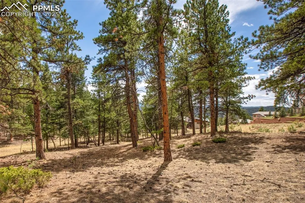271 Thunder Ridge Drive Woodland Park, CO 80863