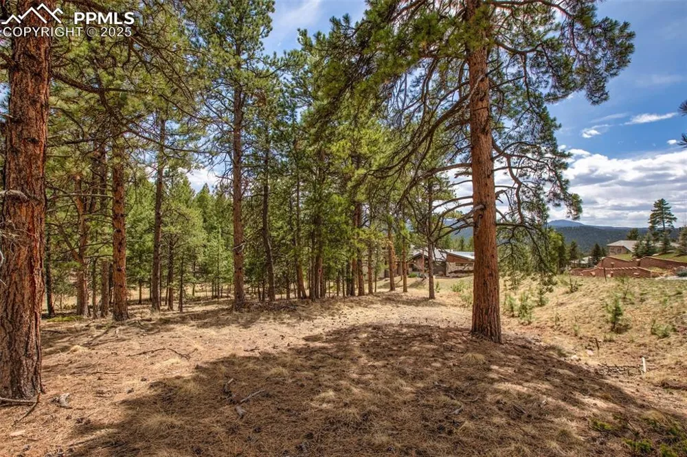 271 Thunder Ridge Drive Woodland Park, CO 80863