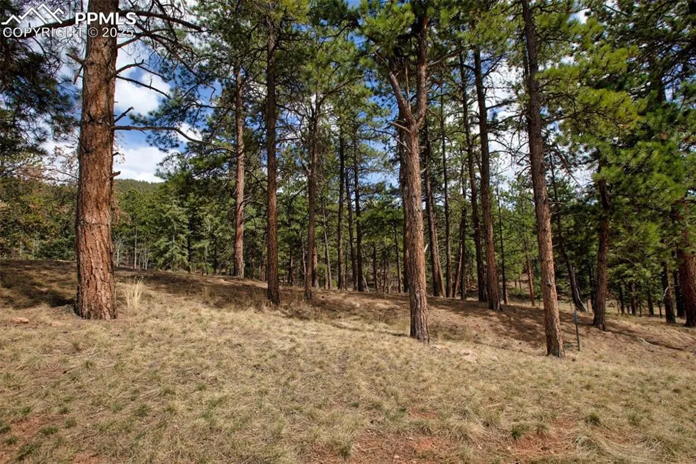 271 Thunder Ridge Drive Woodland Park, CO 80863