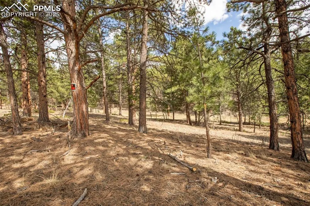 271 Thunder Ridge Drive Woodland Park, CO 80863