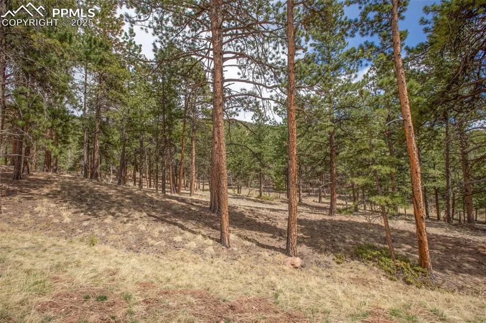 271 Thunder Ridge Drive Woodland Park, CO 80863