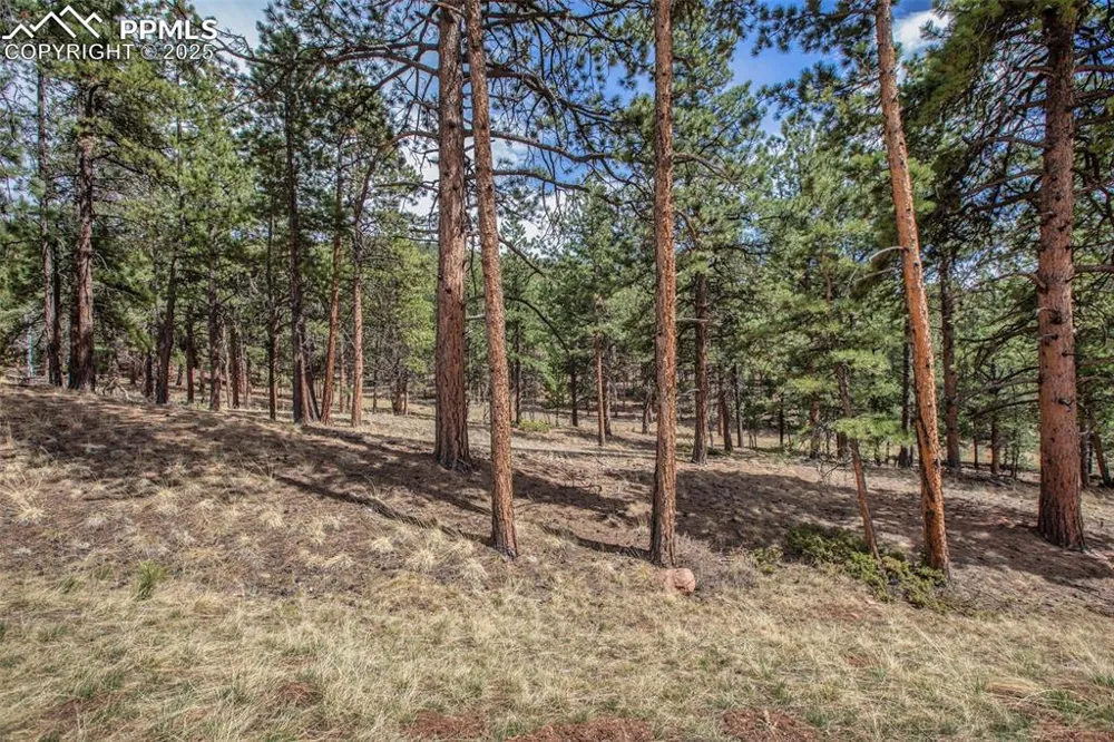 271 Thunder Ridge Drive Woodland Park, CO 80863