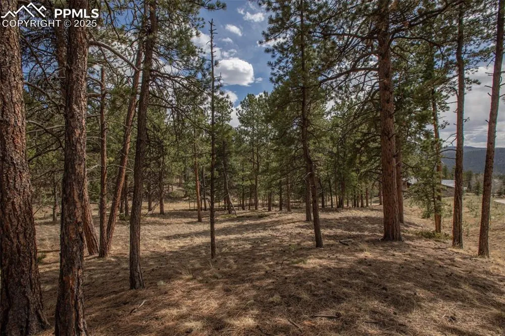 271 Thunder Ridge Drive Woodland Park, CO 80863