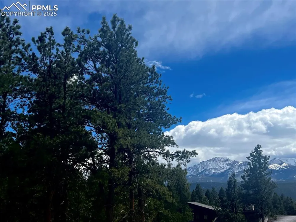 271 Thunder Ridge Drive Woodland Park, CO 80863