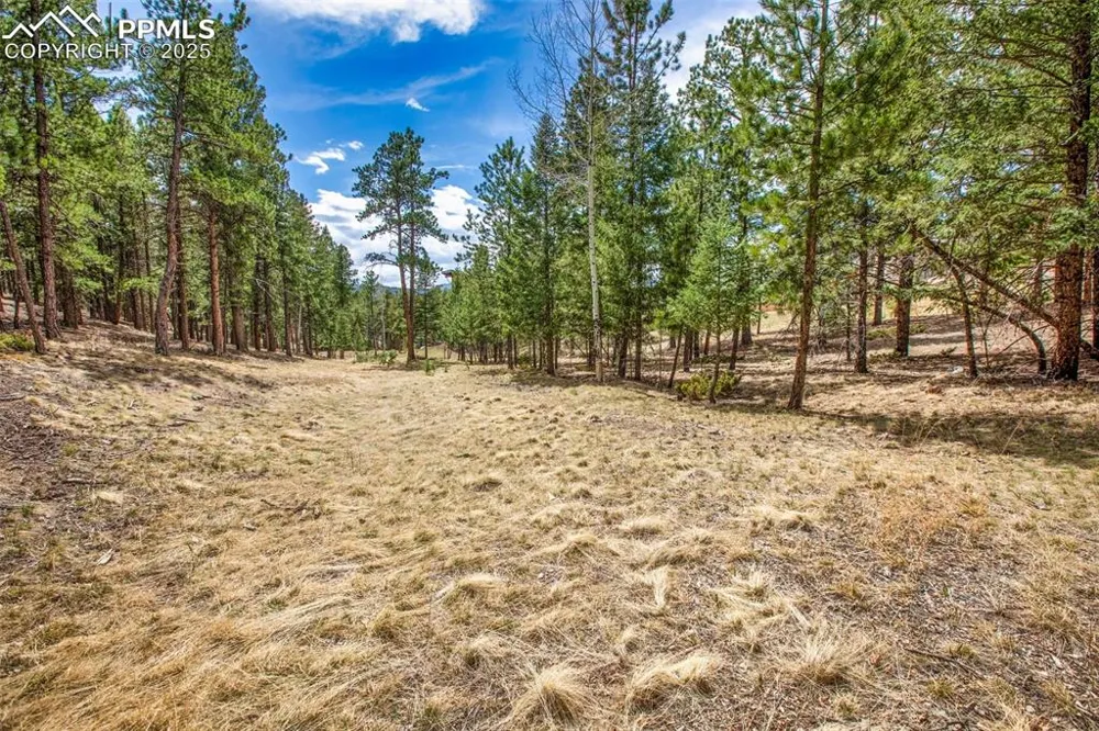 271 Thunder Ridge Drive Woodland Park, CO 80863