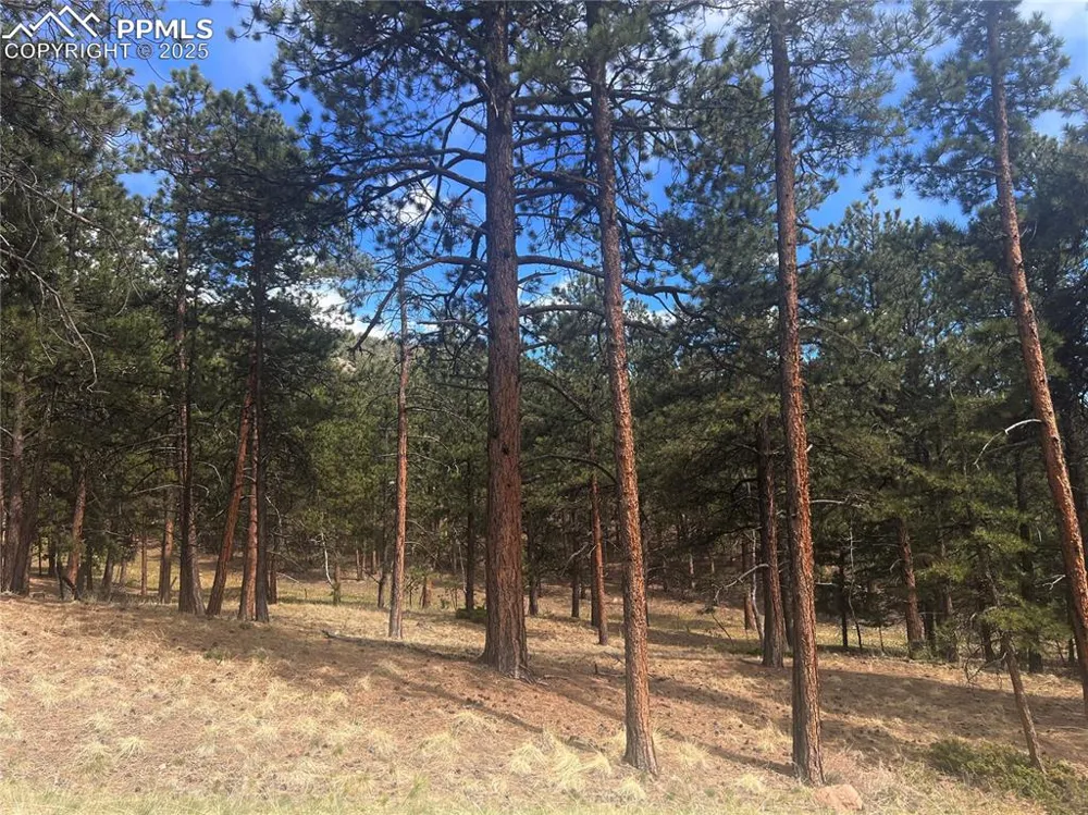 271 Thunder Ridge Drive Woodland Park, CO 80863