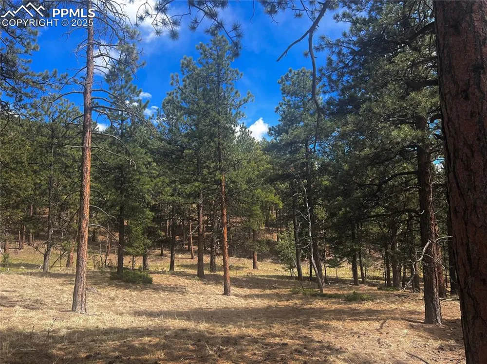 271 Thunder Ridge Drive Woodland Park, CO 80863