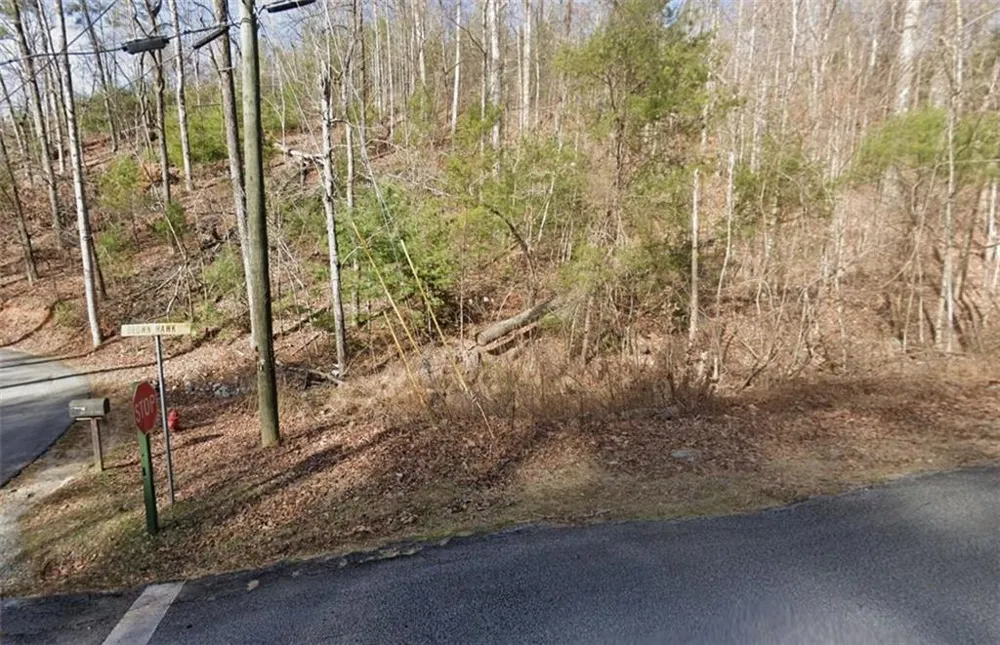 0 Brown Hawk Drive Clayton, GA 30525