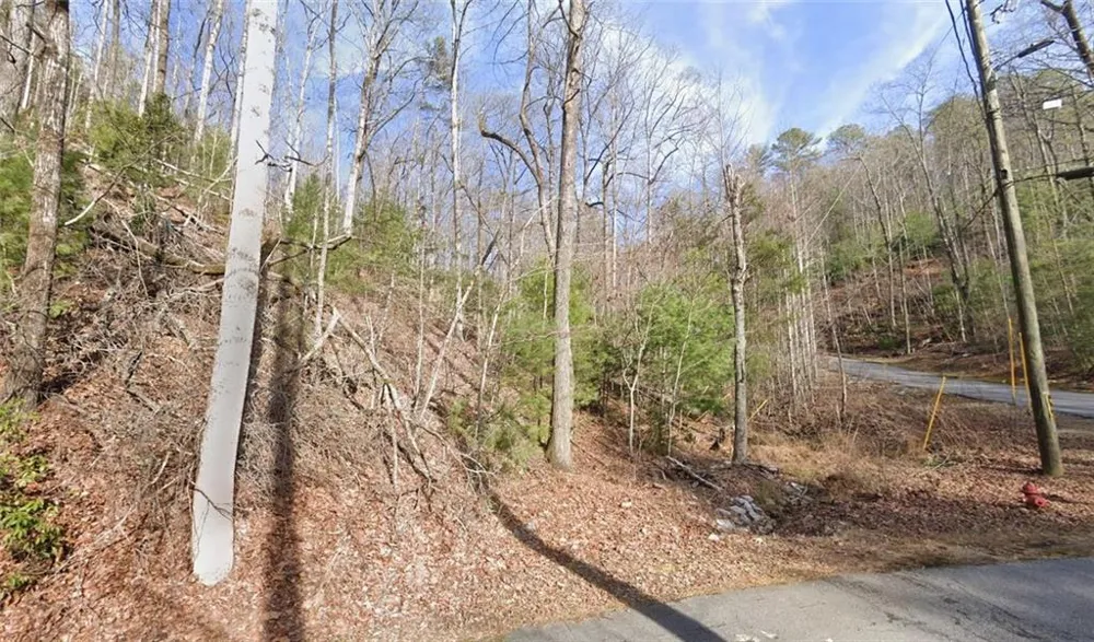 0 Brown Hawk Drive Clayton, GA 30525