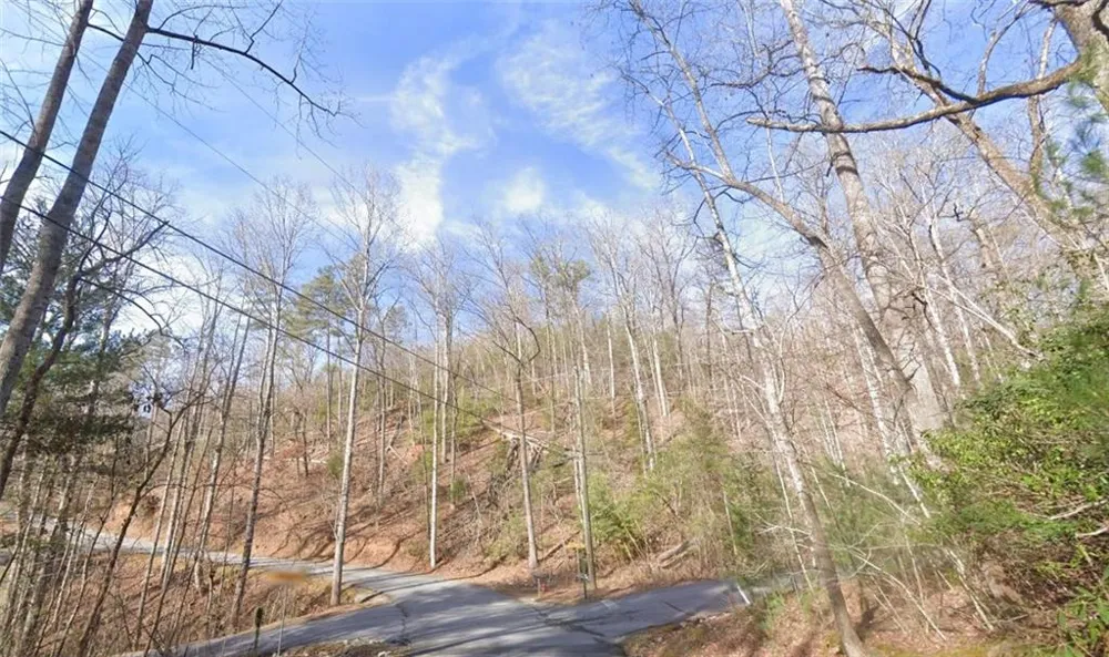 0 Brown Hawk Drive Clayton, GA 30525