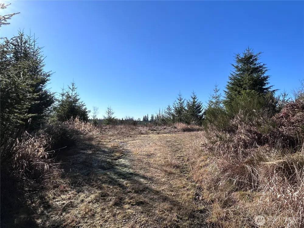 0 NKA Salmon Creek Road Toledo, WA 98591