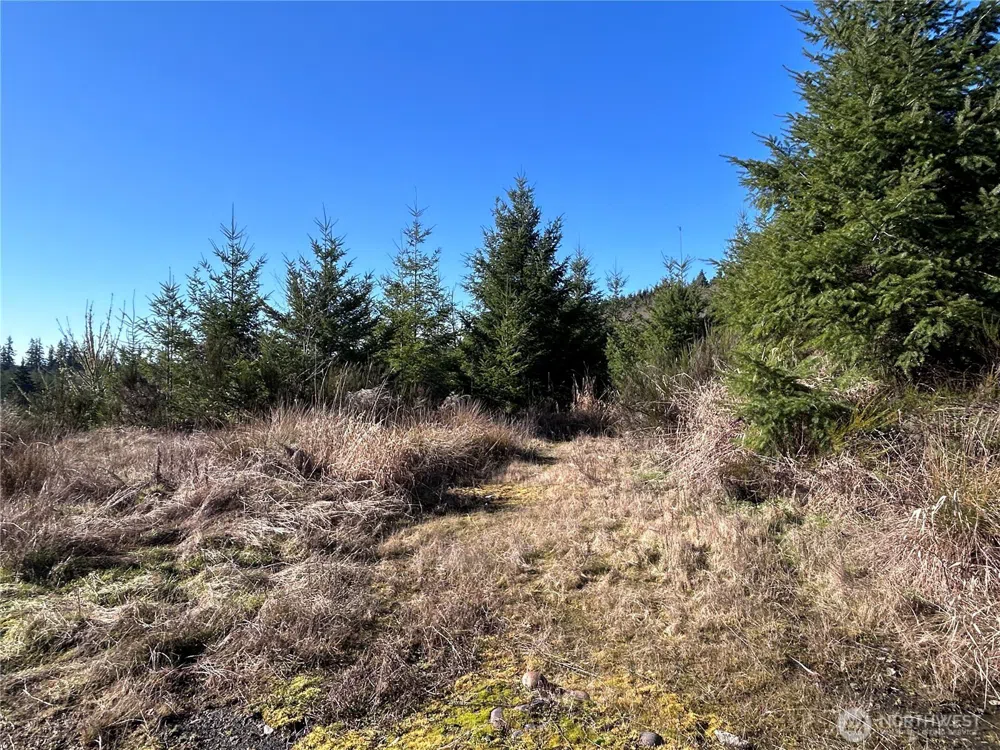 0 NKA Salmon Creek Road Toledo, WA 98591