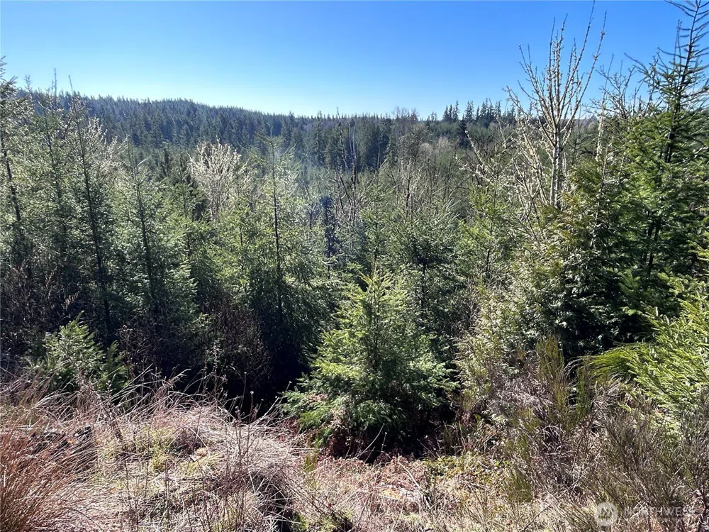 0 NKA Salmon Creek Road Toledo, WA 98591