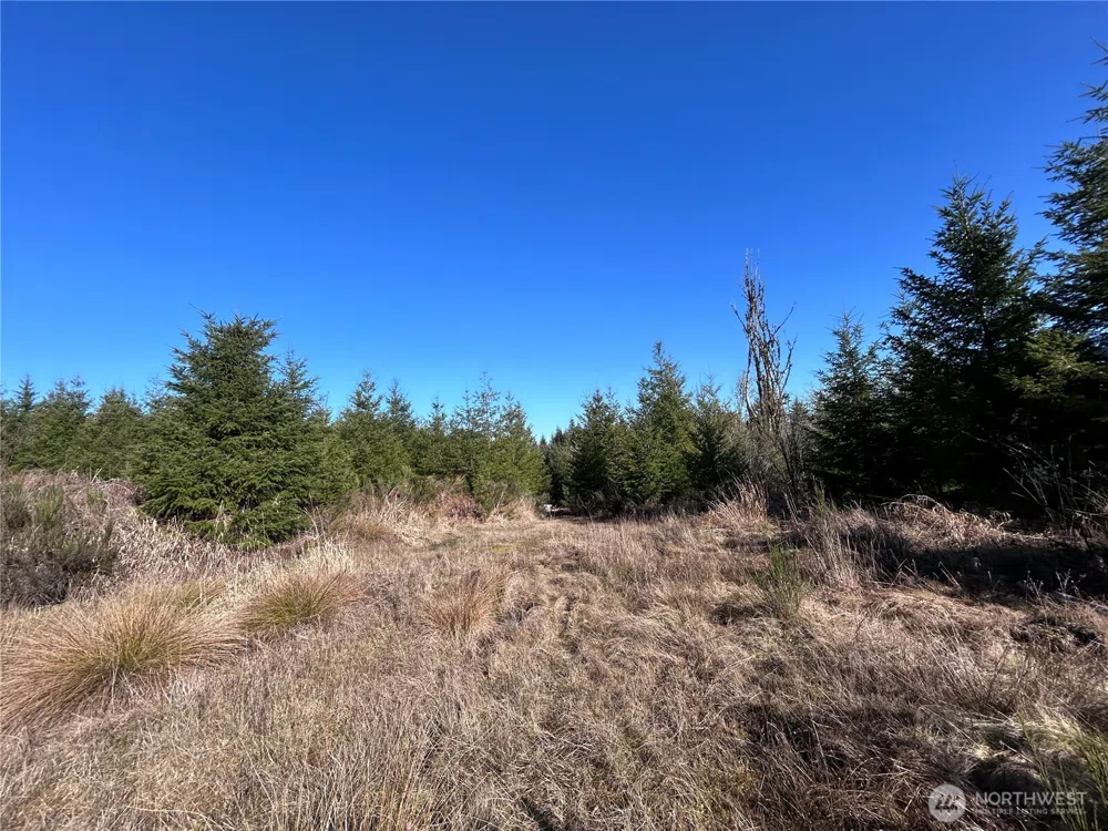 0 NKA Salmon Creek Road Toledo, WA 98591