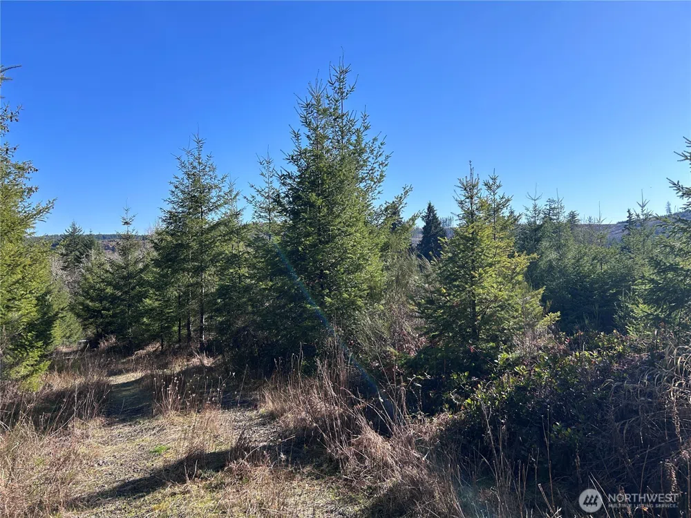 0 NKA Salmon Creek Road Toledo, WA 98591
