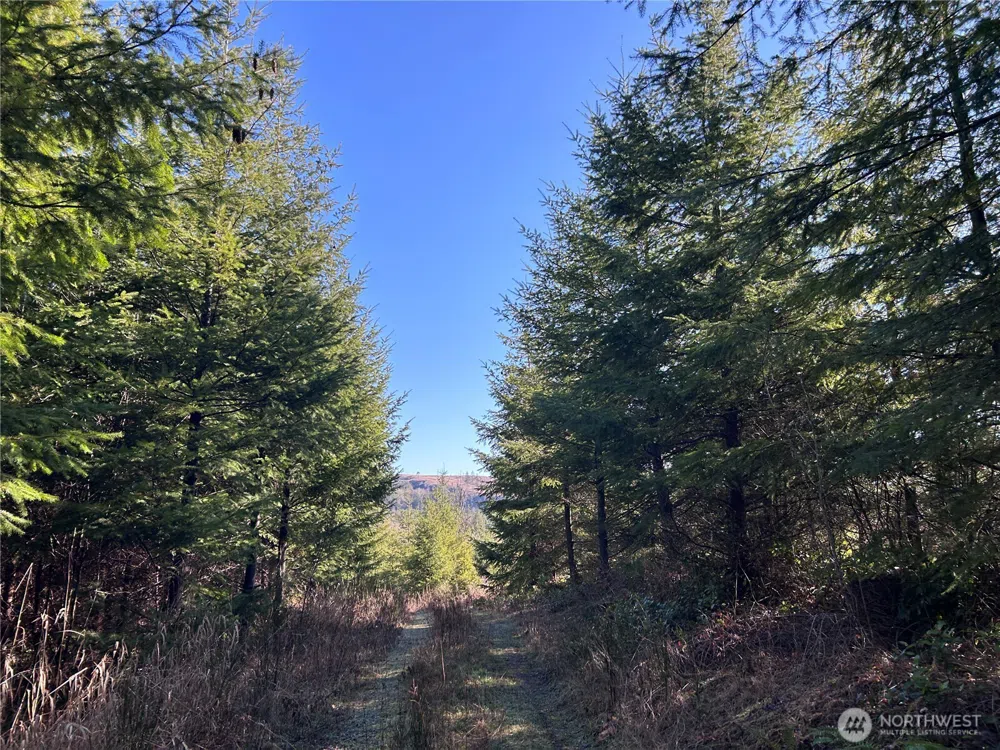 0 NKA Salmon Creek Road Toledo, WA 98591