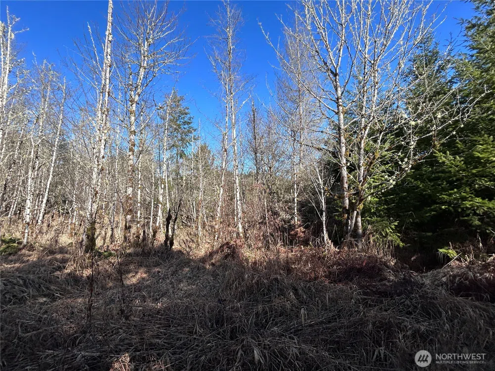 0 NKA Salmon Creek Road Toledo, WA 98591