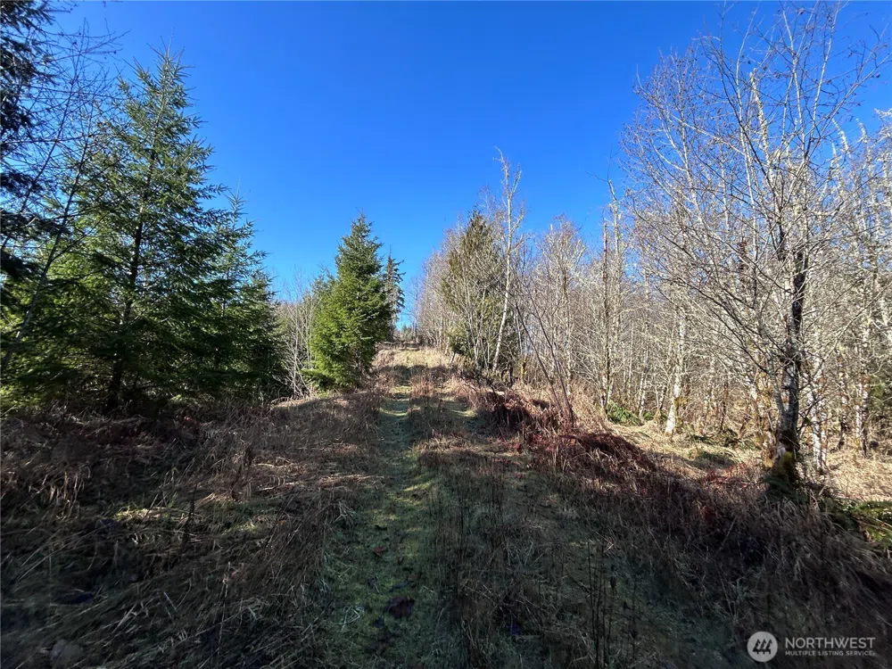 0 NKA Salmon Creek Road Toledo, WA 98591
