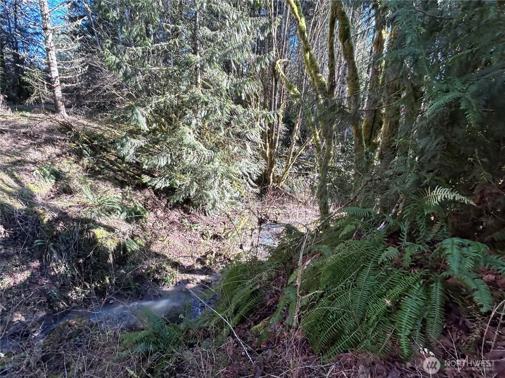 0 NKA Salmon Creek Road Toledo, WA 98591