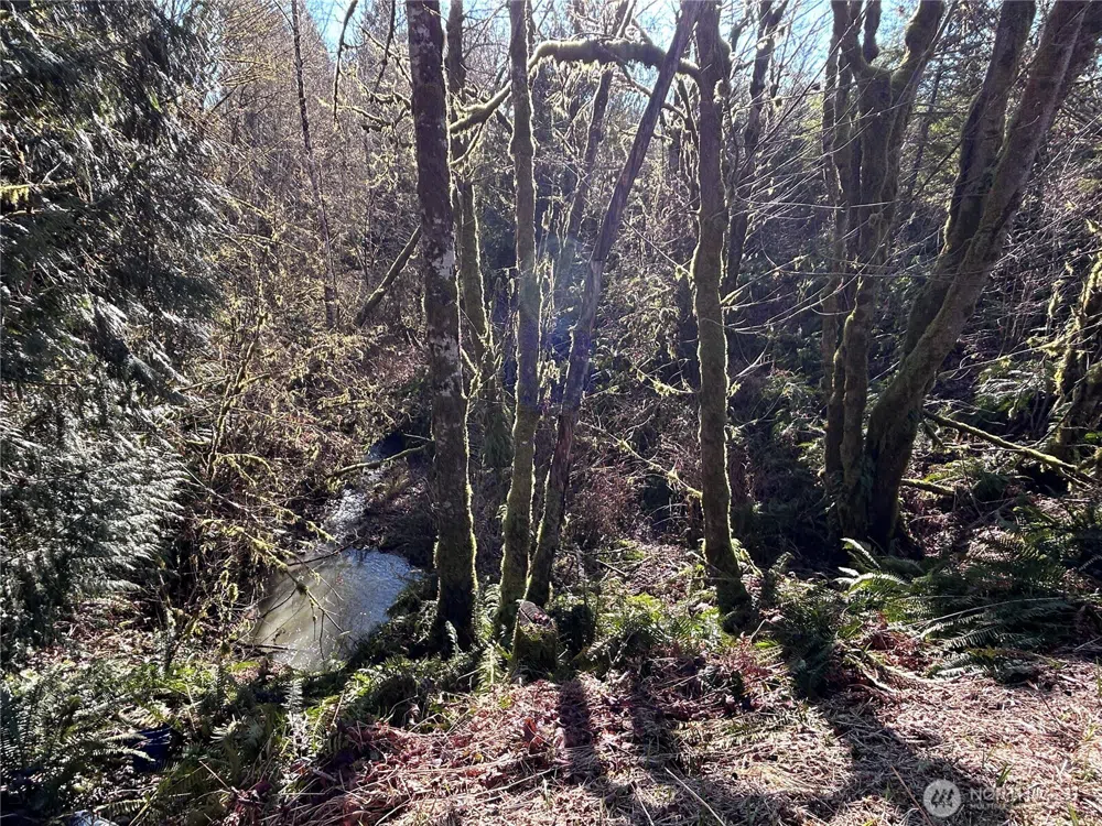 0 NKA Salmon Creek Road Toledo, WA 98591