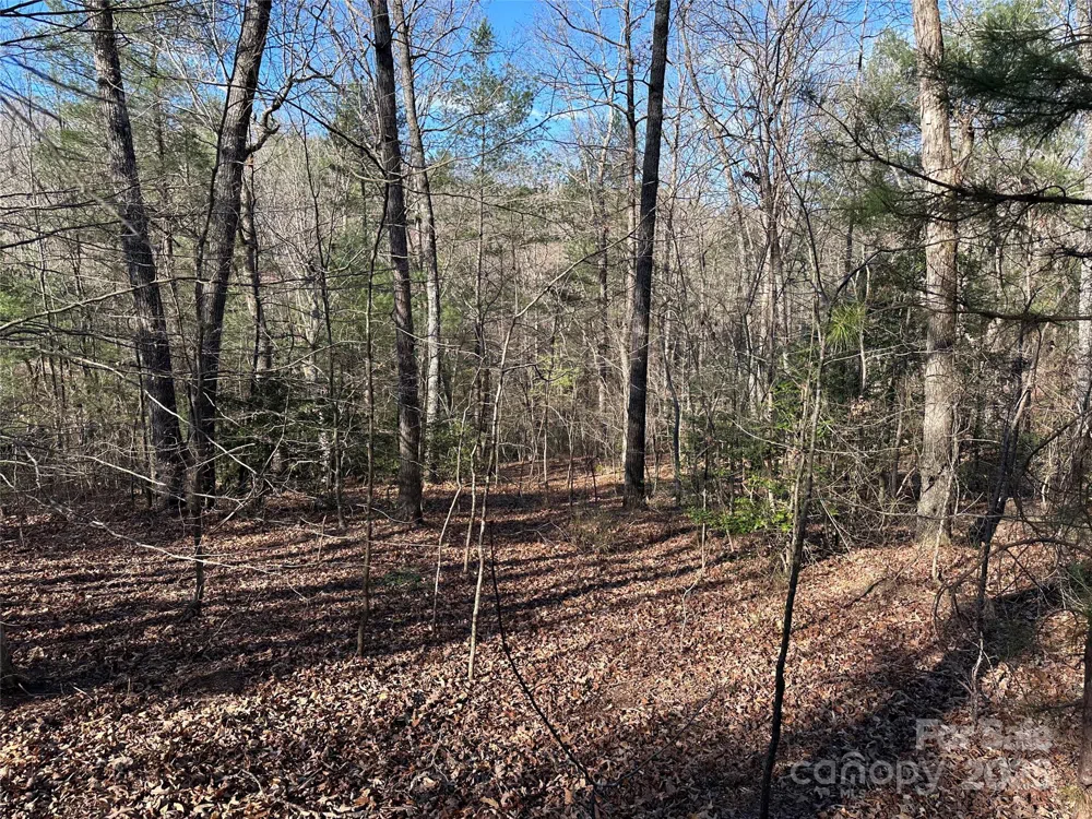 00 Goose Creek Drive Taylorsville, NC 28681