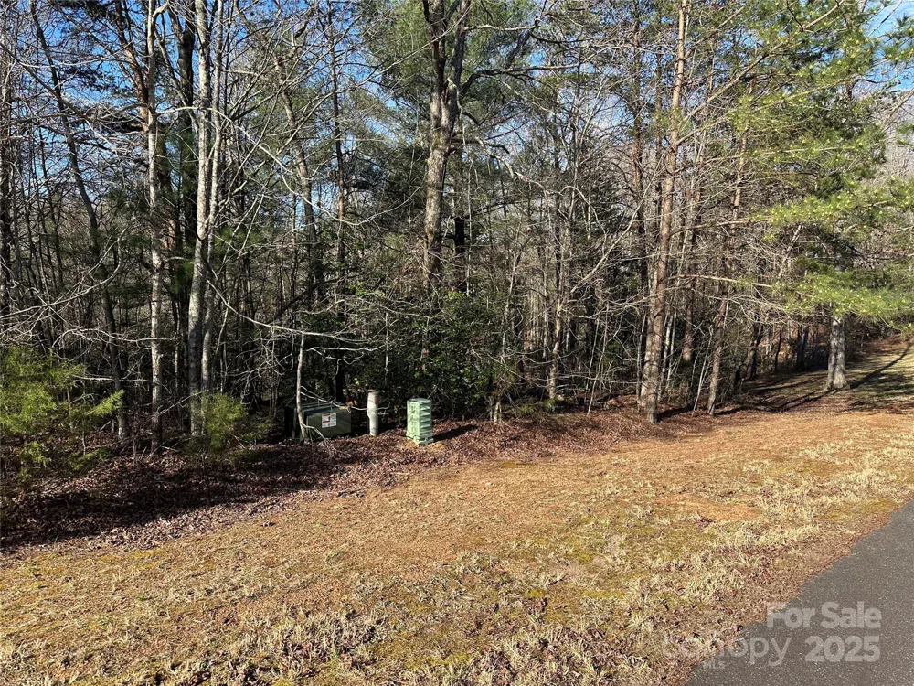 00 Goose Creek Drive Taylorsville, NC 28681