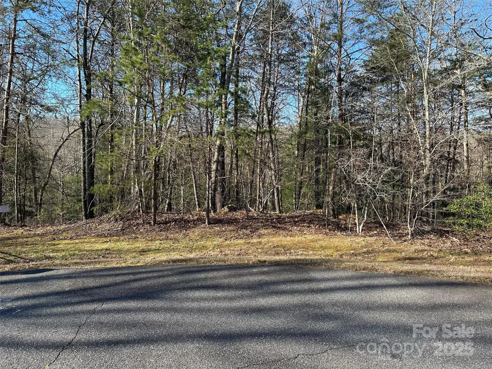 00 Goose Creek Drive Taylorsville, NC 28681