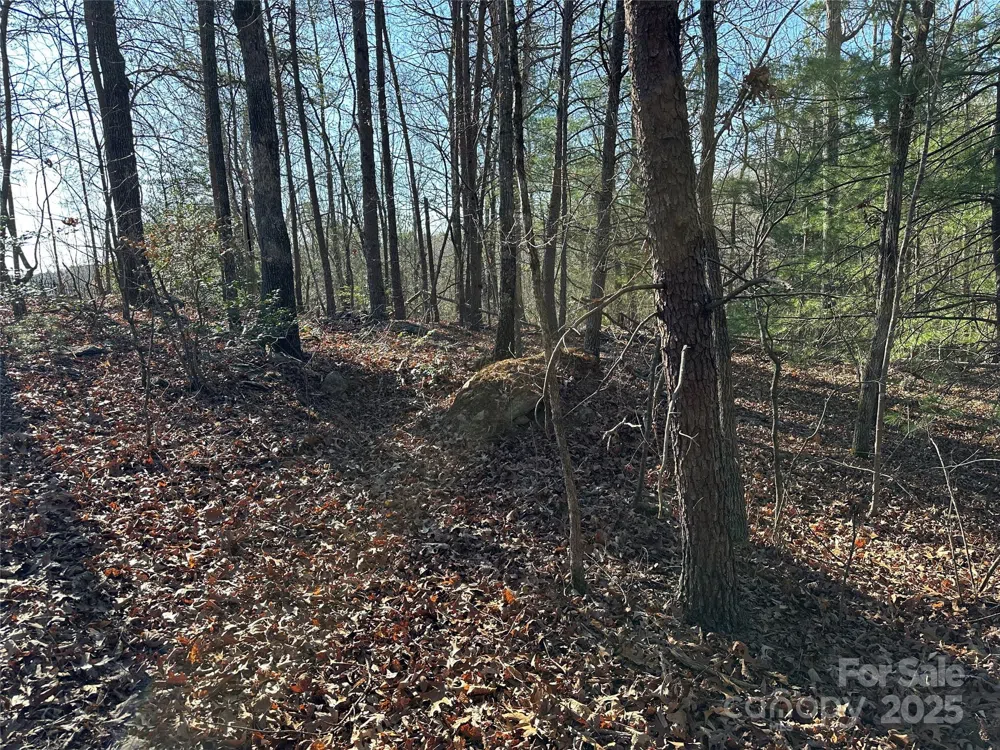 00 Goose Creek Drive Taylorsville, NC 28681