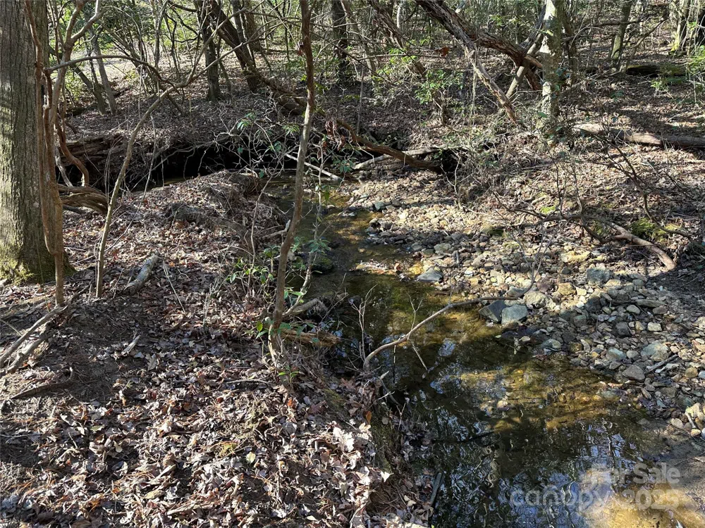 00 Goose Creek Drive Taylorsville, NC 28681