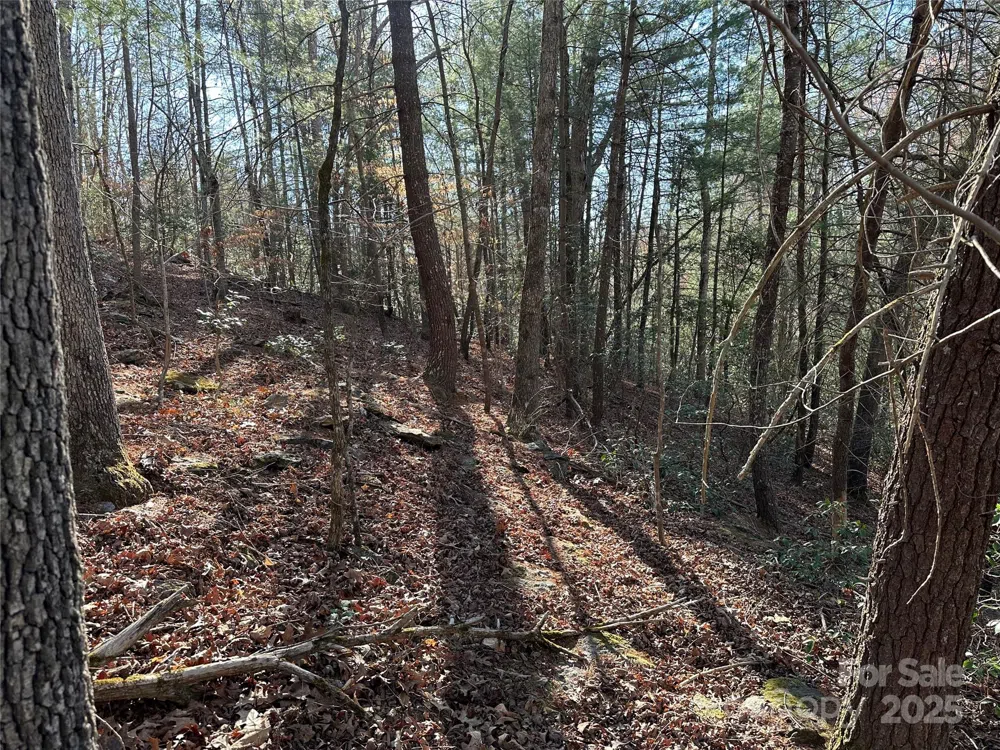 00 Goose Creek Drive Taylorsville, NC 28681