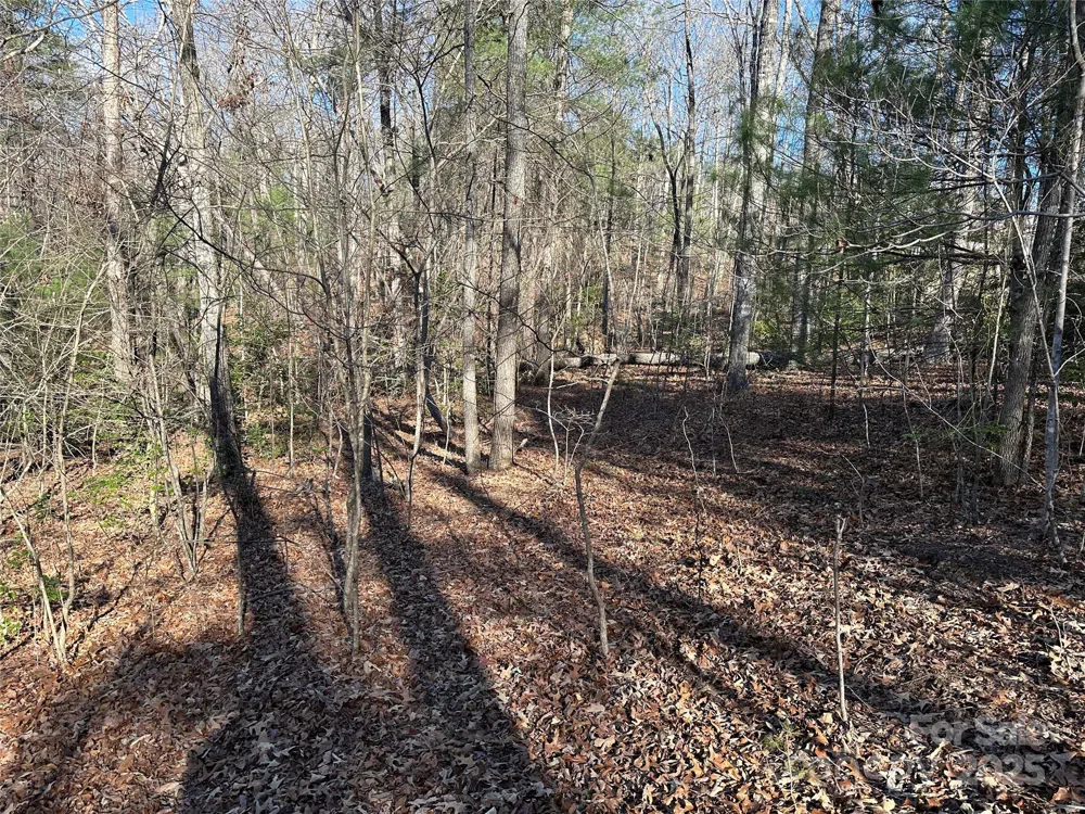00 Goose Creek Drive Taylorsville, NC 28681