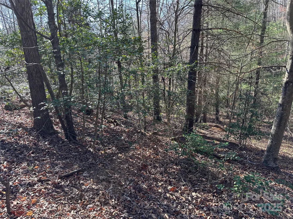 00 Goose Creek Drive Taylorsville, NC 28681
