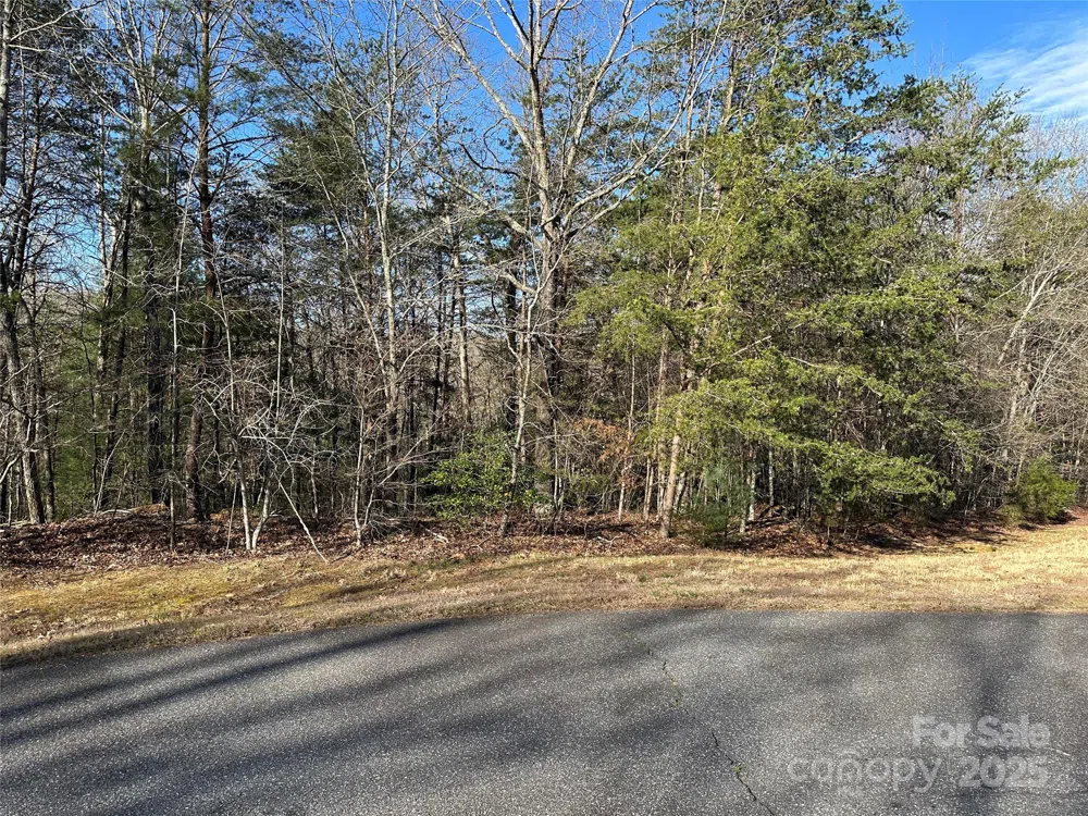 00 Goose Creek Drive Taylorsville, NC 28681