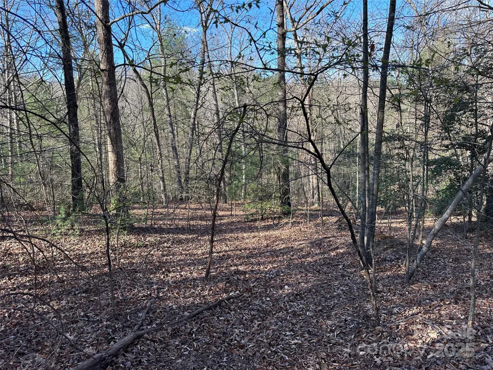 00 Goose Creek Drive Taylorsville, NC 28681