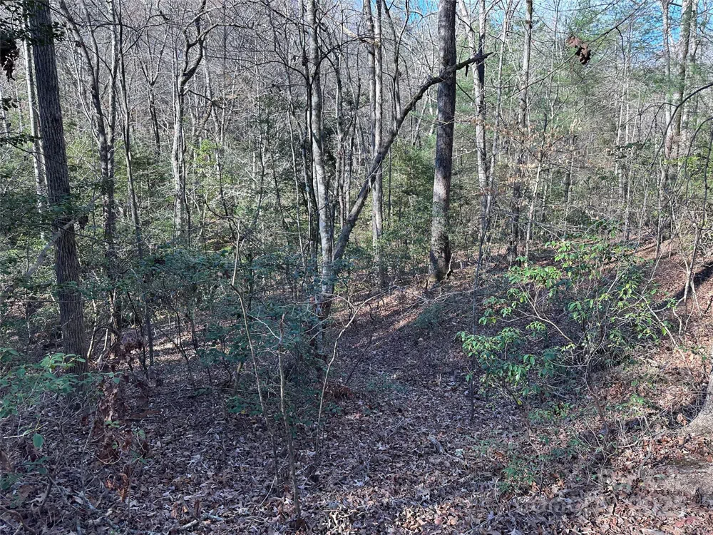 00 Goose Creek Drive Taylorsville, NC 28681